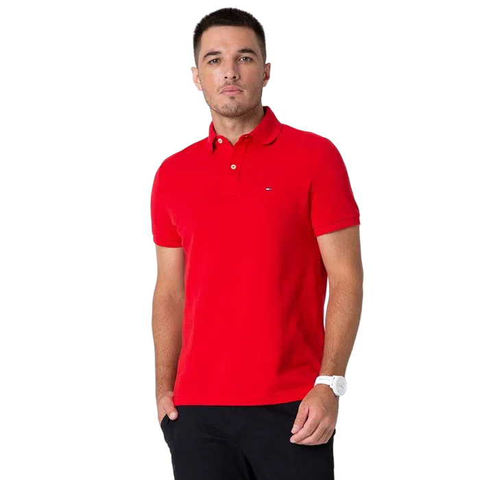 CAMISETA POLO MASCULINA TMH CLÁSSICA REGULAR IVY