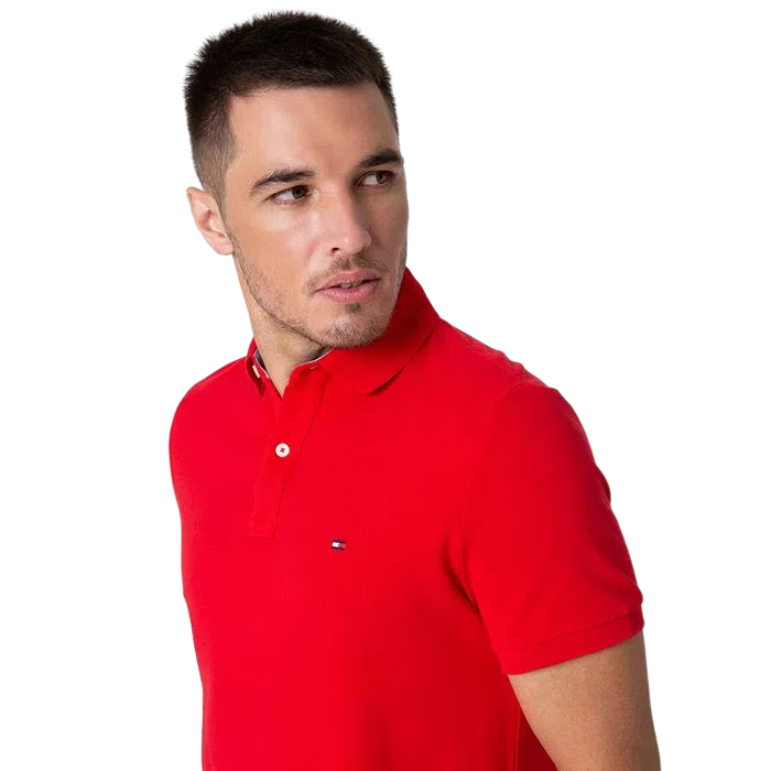 CAMISETA POLO MASCULINA TMH CLÁSSICA REGULAR IVY